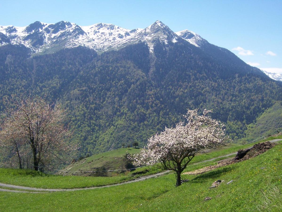 Tuc Blanc Ξενοδοχείο Baqueira Beret Εξωτερικό φωτογραφία